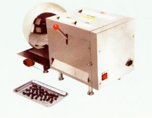 小型電動藥材密丸機FZ-102