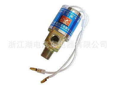 汽車?yán)?電喇叭12V