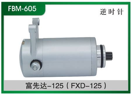 富先達(dá)-125(FXD-125) 摩托車(chē)起動(dòng)電機(jī)