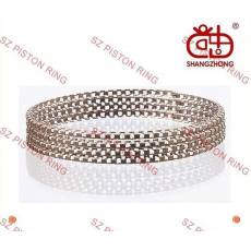 供應寶馬530i,730i,745i 530i,730i車型活塞環(huán)