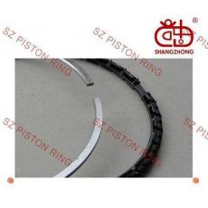 供應雪鐵龍汽車AX 10,Visa10車型活塞環(huán)