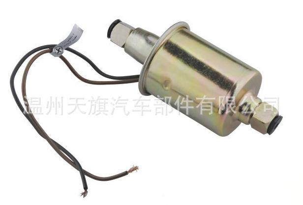廠家直銷汽車電子燃油泵泵心 E8012S