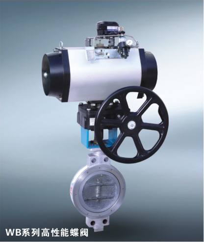 WB300高性能蝶閥