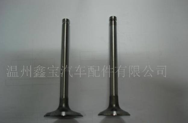 帕金斯氣門.其他各種車型外貿氣門