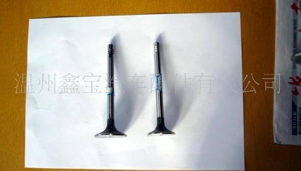 供應歐寶氣門.其他各種外貿車型OE氣門