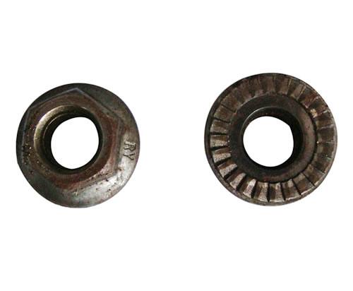 GD-012非標(biāo)螺母