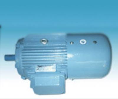 YEJ系列電磁制動三相異步電動機