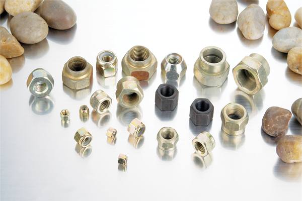 汽車非標(biāo)螺母