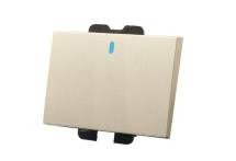 10A250V大板雙控點開關功能件