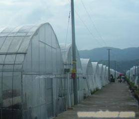 果園溫室大棚