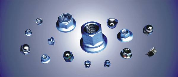 六角法蘭面、法蘭承面帶花齒螺母、活節蓋形螺母