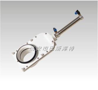 C8008衛(wèi)生間馬桶水閘