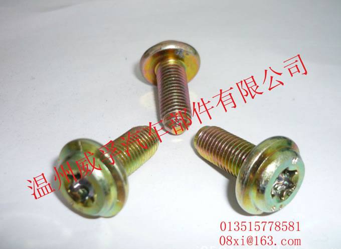 汽車前門鉸鏈螺栓