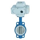 四氟電動(dòng)蝶閥