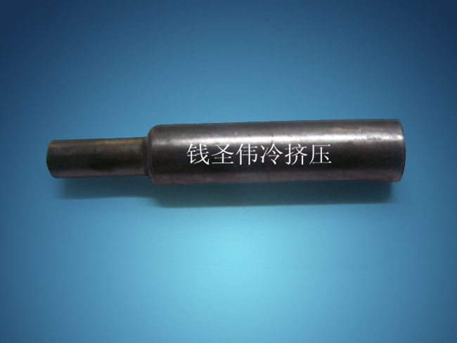 汽摩配件 冷擠壓件