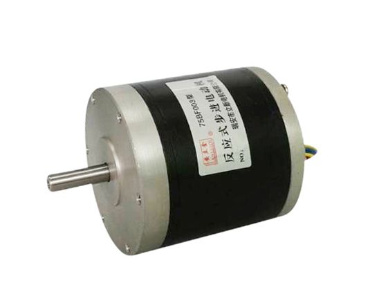 75BF003 磁阻式步進(jìn)電動(dòng)機(jī) 
