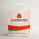 環保手提無紡布袋 無紡布袋定制大紅立體無紡布袋