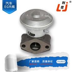 汽車(chē)EGR閥 