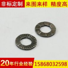 雙疊自鎖墊圈，雙層防松墊圈 防震防松墊圈