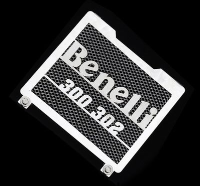 錢江貝納利黃龍藍寶龍Benelli藍寶龍300/BJ300GS改裝水箱網(wǎng)防護罩