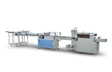 PW-450B-1 全自動(dòng)點(diǎn)數(shù)包裝連線